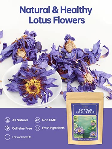 Egyptian Lotus Flower Tea - 1.06oz