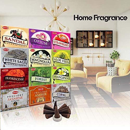 HEM Incencse Cones - 12 Pack Assorted